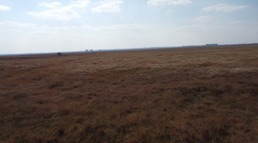 0 Bedroom Property for Sale in Koppies Rural Free State